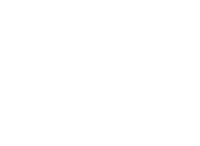Governance Institute